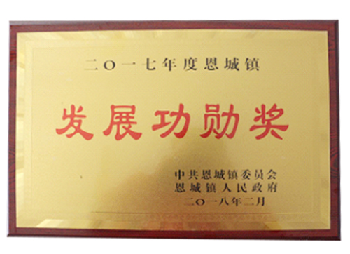 發(fā)展功勛獎(jiǎng)